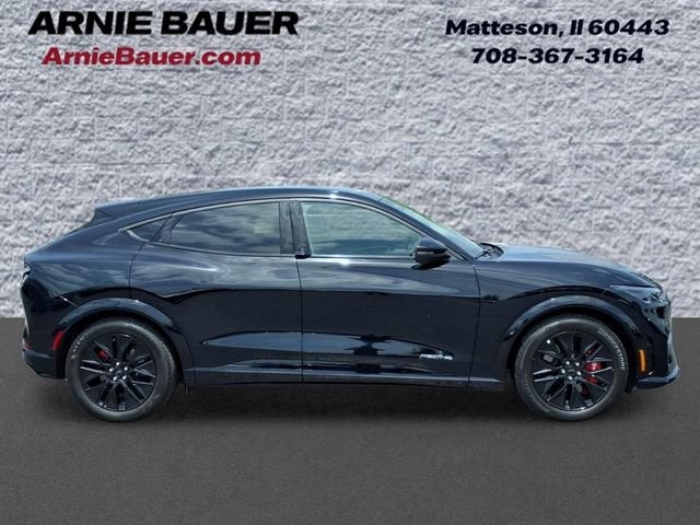 2025 Ford Mustang Mach-E — detail view